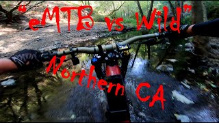 'eMTB vs Wild' - Dan's Wild Ride Trail, Napa...