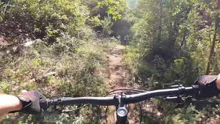 Nectar DH