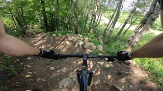 Detroit Mountain Steal Your Face