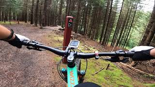 Super tur i Bjerge skov - En uge inden trailcup!