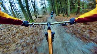 Bjerge Skov 28 12 2020
