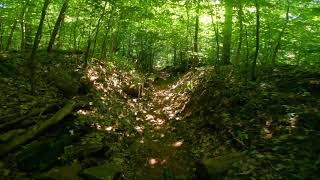 Boone Trail - French Creek Mountain Biking
