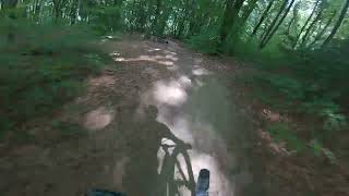 Over the stump 2