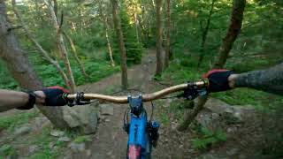 Pine Forest 'A-line'