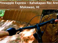 Pineapple Express - Kahakapao Recreation Area...