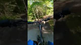 Mountain Bike CRASH  Damn It #shorts