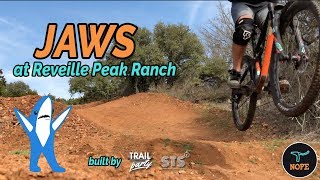 JAWS & SWEET SKULL - Mountain Biking...