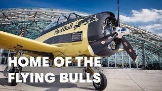 Welcome to the World of the Red Bull Flying...