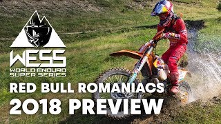 Everything you can expect from Red Bull...