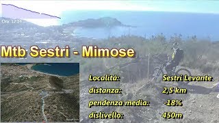 Mtb Sestri Mimose