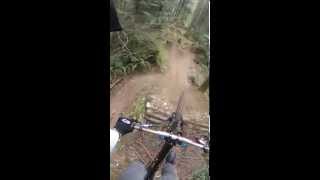 12 steps on a downhill bike