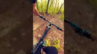 Just your average NH Flow trail 