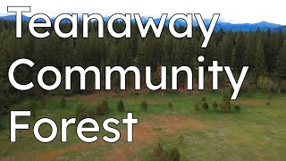 Teanaway Community Forest