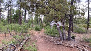 Mountain Biking Show Low's Buena Vista /...