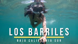 Looking For Dolphins! | Snorkeling &...