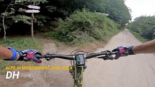 DH, Alpe di Monghidoro (BO) 28-06-2022