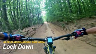 Lock Down, Alpe di Monghidoro (BO) 28-06-2022