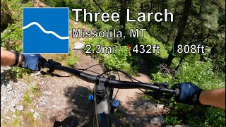 Three Larch - The Rattlesnake - Missoula, MT
