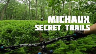 Michaux State Forest MTB | Hogwoods/Pinnacle...