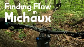 Michaux State Forest MTB | Vista/Double...