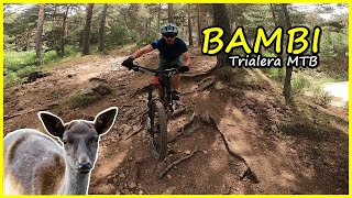 BAMBI Trialera MTB con mucho Flow | LIVING...