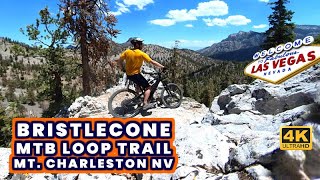 Bristlecone MTB Trail Lower & Upper | Mt....