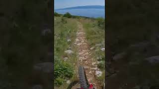 Croatian mtb flow trails are... #shorts