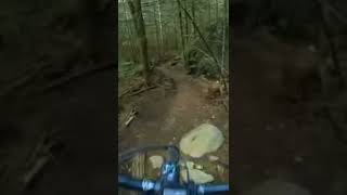Sending a teeter-totter! (harsh landing!)...