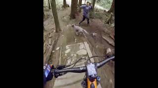 R.I.P. Green Bastard trail (and almost this...