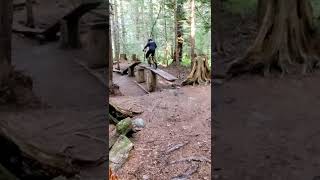 Mountain Bike Playground