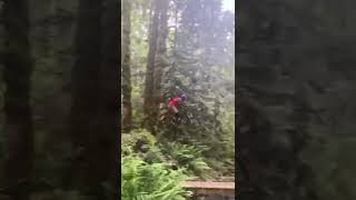 Pinkbike Saturday Sends  #54 #Shorts