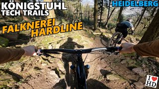 HEIDELBERG KÖNIGSTUHL Tech Trails: Falknerei...