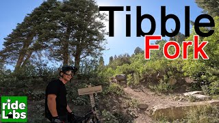 Tibble Fork Trail | American Fork Canyon