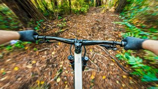 My Very First Laps and Impressions on the 2022...