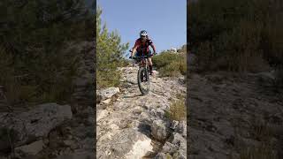 le Rove/freewheel