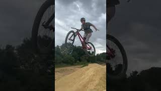 What Sundays are all about sick day shredding...