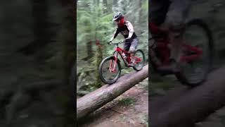 If a tree falls in the woods...