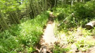 Payroll Trail Park City Utah