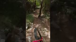 Summer mtb trail ride ASMR  #shorts