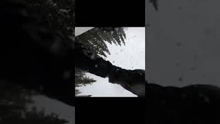 mtb fail crash  #shorts