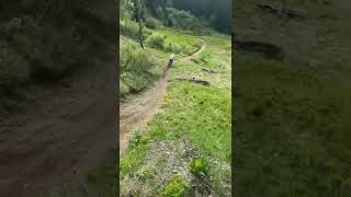 mtb fail crash  #shorts