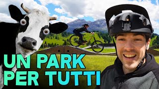 INVESTO una MUCCA in bici! Moviment Alta Badia