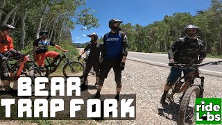 Bear Trap Fork Trail in Big Cottonwood Canyon