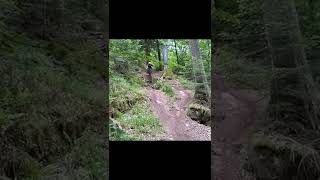 mtb fail crash  #shorts