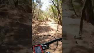 Adrenalina