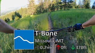 T-Bone - Blue Mountain - Missoula, MT