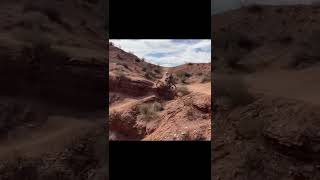 mtb fail crash  #shorts