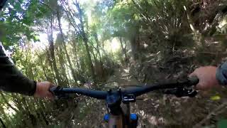 Gravity Nelson trail previews,  Cable Bay...