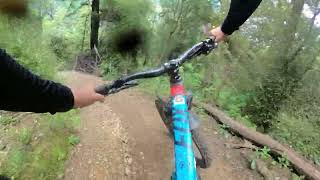 Riding The Wairoa Gorge: Gorgeous Riding...