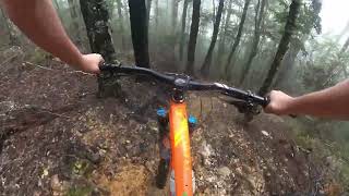 Riding at the Wairoa Gorge - Gorgeous Riding ...